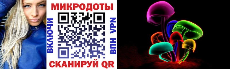 Псилоцибиновые грибы Psilocybine cubensis  закладка  Буй 