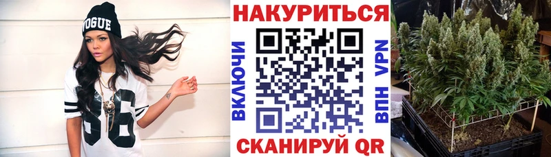 Бошки Шишки OG Kush  купить  сайты  Буй 